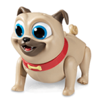 Pug dog